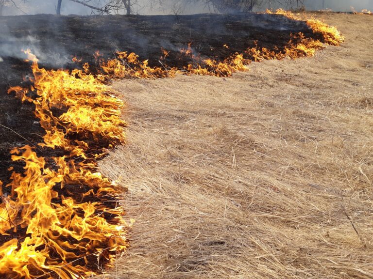 Prescribed burn planned for Harrop Creek planned