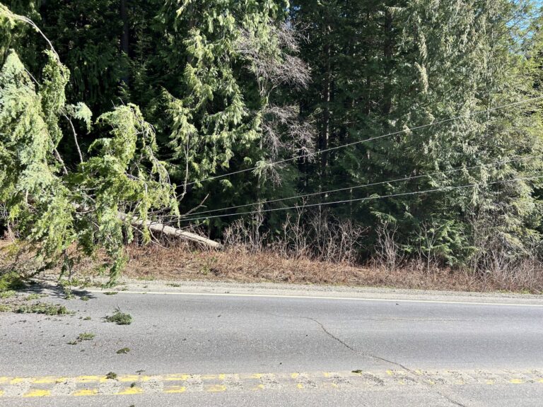 FortisBC warns of proactive outages during peak wildfire season