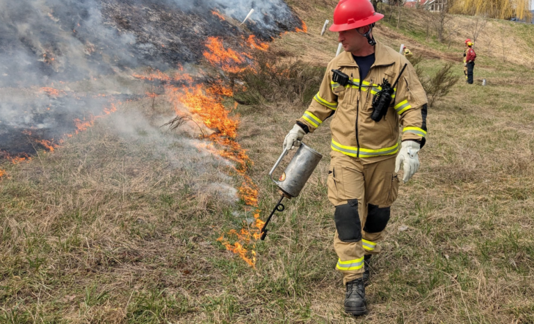 Prescribed burn planned for North Creek area