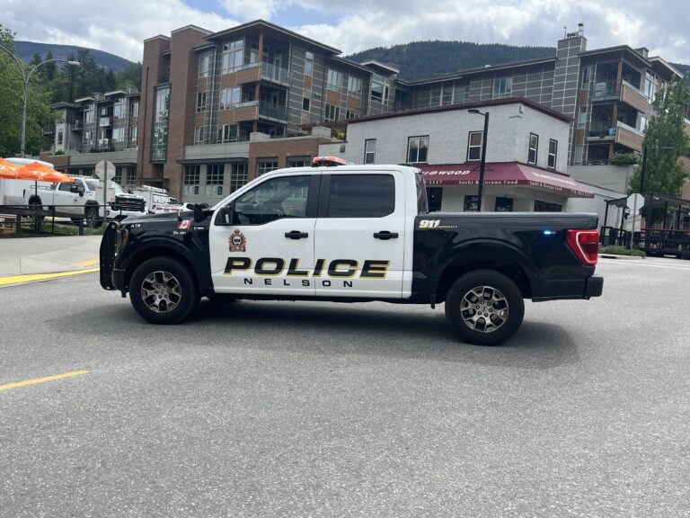 Impaired driver caught in Nelson after collision