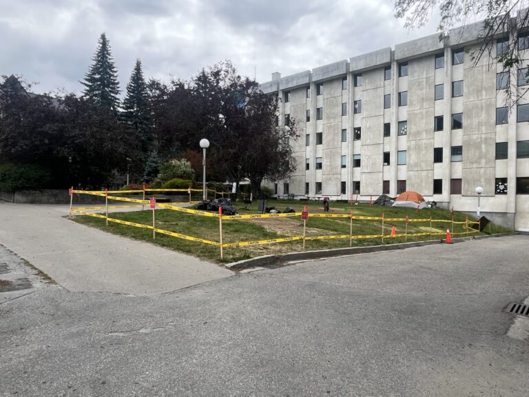 Nelson City Council approves changes to parks bylaw, prohibits camping at City Hall