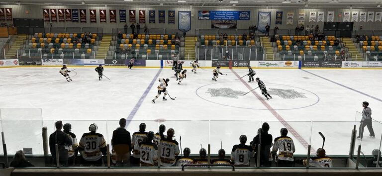 Bruins defeat Leafs in Exhibition match