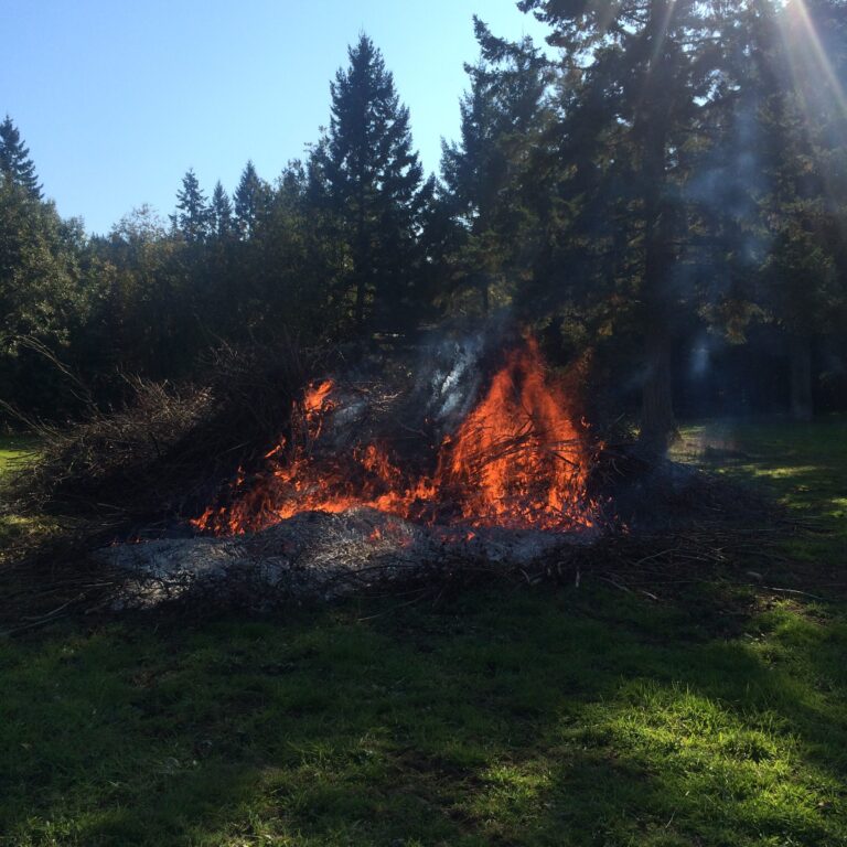 Kootenay residents urged to follow safe burning practice
