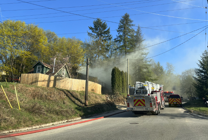 Nelson fire fighters respond to several fires in and around the City