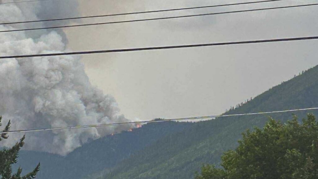 This is a photo of a wildfire