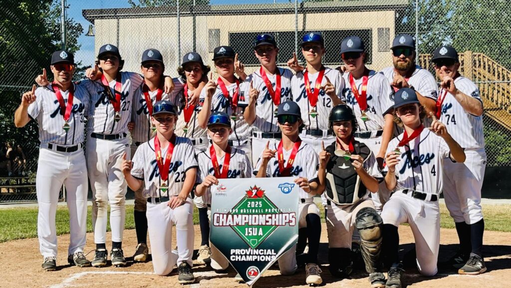 This is a photo of the Nelson Aces U15 All-Star Baseball team