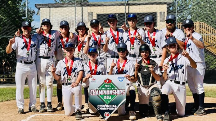 This is a photo of the Nelson Aces U15 All-Star Baseball team