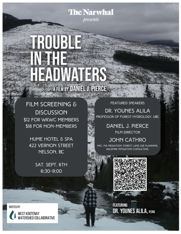 Trouble in the Headwaters